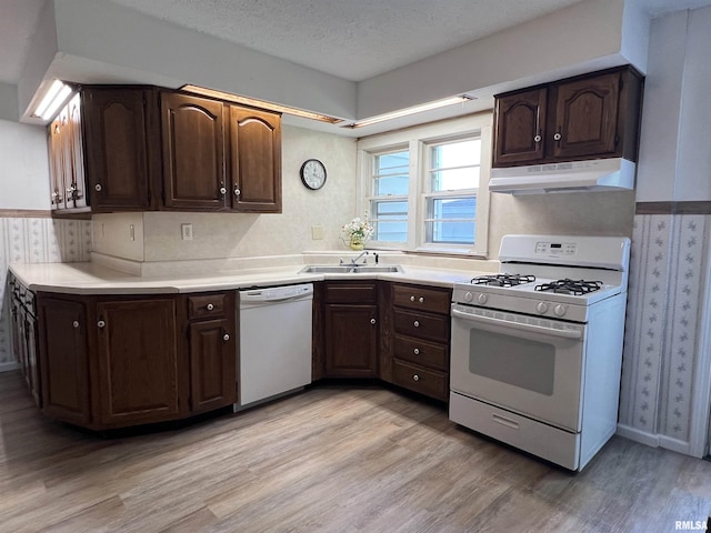 1409 N Van Buren, Marion, IL 62959 - kitchen featuring white appliances, under cabinet range hood, light wood-style flooring, wallpapered walls, and dark brown cabinets