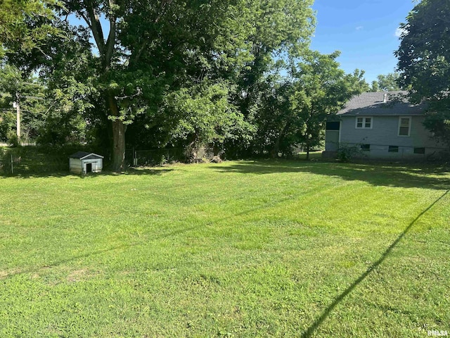 1409 N Van Buren, Marion, IL 62959 - view of yard featuring a storage unit
