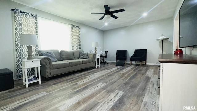 13607 Leisure Ln, Benton, IL 62812 - living area featuring wood finished floors and a ceiling fan