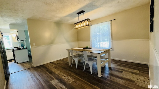 13607 Leisure Ln, Benton, IL 62812 - dining room with dark wood finished floors, healthy amount of natural light, and a textured ceiling