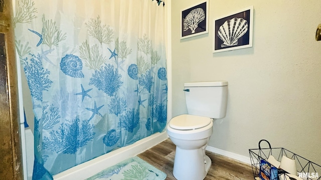 13607 Leisure Ln, Benton, IL 62812 - bathroom with wood finished floors and curtained shower