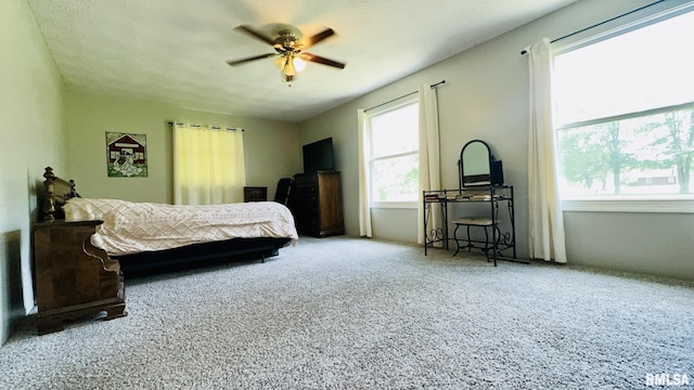 13607 Leisure Ln, Benton, IL 62812 - bedroom with carpet floors and a ceiling fan