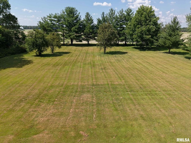 13607 Leisure Ln, Benton, IL 62812 - view of green lawn with a view of countryside