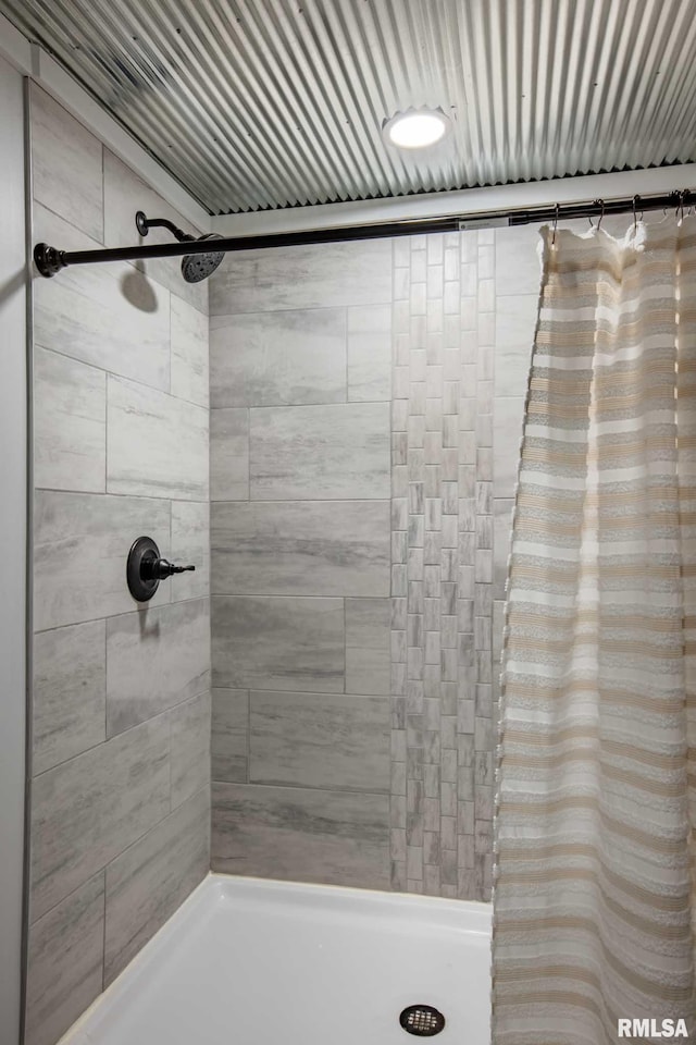 14682 White Birch Ct, Benton, IL 62812 - bathroom featuring a tile shower