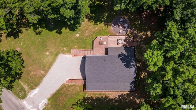 14682 White Birch Ct, Benton, IL 62812 - view from above of property