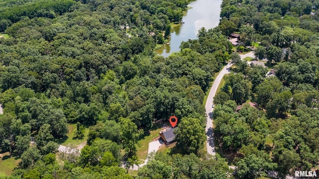 14682 White Birch Ct, Benton, IL 62812 - aerial view of a nearby body of water and a heavily wooded area