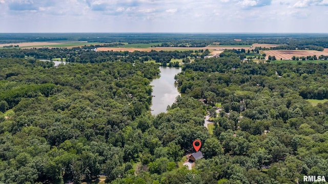14682 White Birch Ct, Benton, IL 62812 - bird's eye view of a nearby body of water and a heavily wooded area