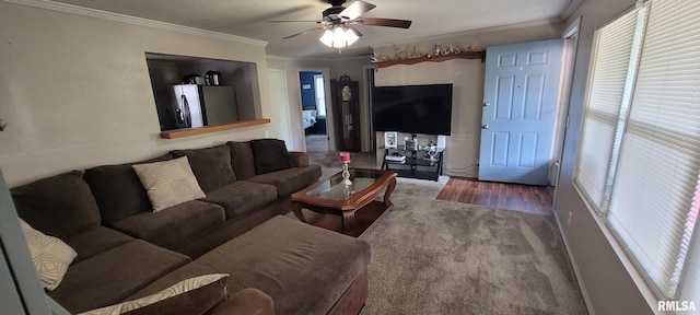 1420 N 17th St, Mount Vernon, IL 62864 - living area with a ceiling fan, ornamental molding, healthy amount of natural light, and carpet floors
