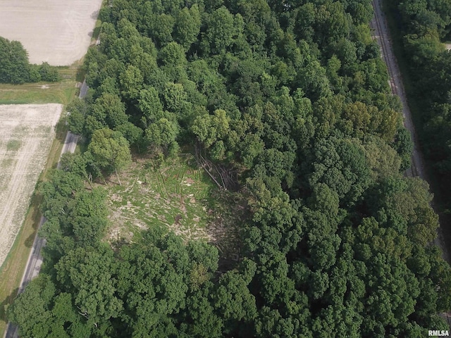 000 Beard Rd, Xenia, IL 62899 - photo 13