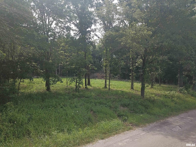 000 Beard Rd, Xenia, IL 62899 - photo 14