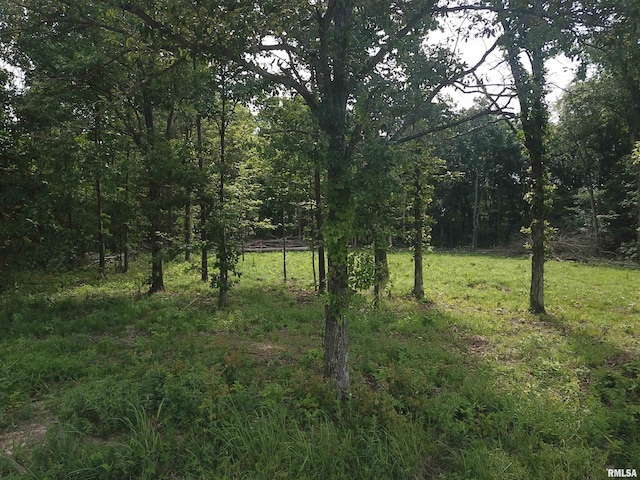 000 Beard Rd, Xenia, IL 62899 - photo 15