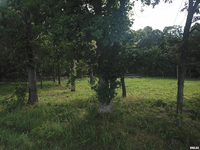 000 Beard Rd, Xenia, IL 62899 - photo 16