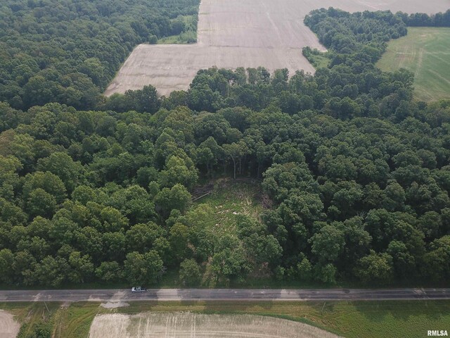 000 Beard Rd, Xenia, IL 62899 - photo 3