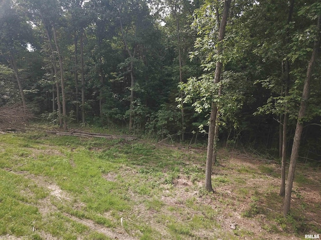 000 Beard Rd, Xenia, IL 62899 - photo 18
