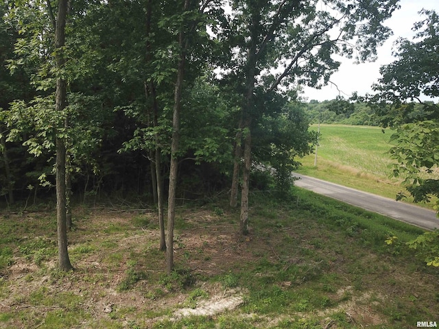 000 Beard Rd, Xenia, IL 62899 - photo 19