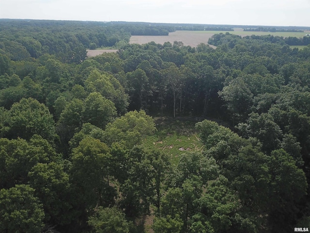 000 Beard Rd, Xenia, IL 62899 - photo 4