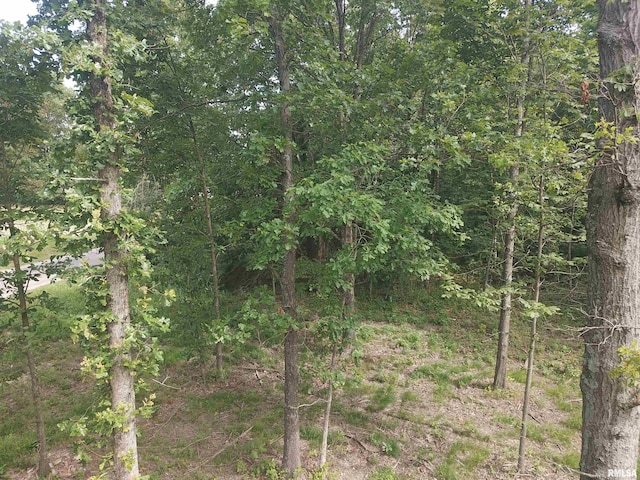 000 Beard Rd, Xenia, IL 62899 - photo 22
