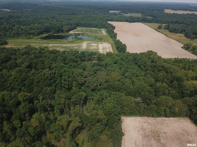 000 Beard Rd, Xenia, IL 62899 - photo 8