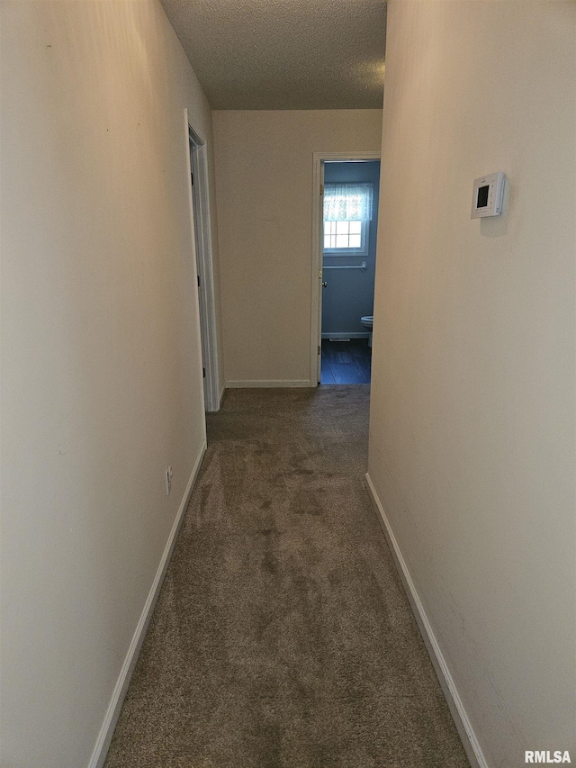 1905 N Dawn Dr, Marion, IL 62959 - corridor featuring carpet flooring and a textured ceiling