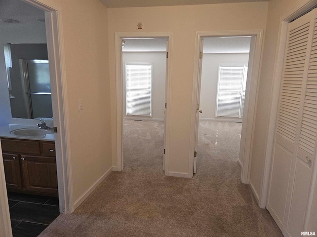 1905 N Dawn Dr, Marion, IL 62959 - hallway with light carpet and healthy amount of natural light