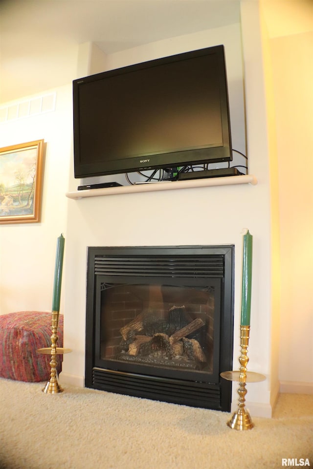 1308 Shawnee Trl, Carterville, IL 62918 - detailed view of a glass covered fireplace and carpet flooring