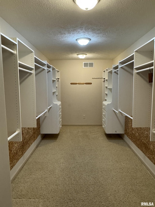 1308 Shawnee Trl, Carterville, IL 62918 - spacious closet with carpet