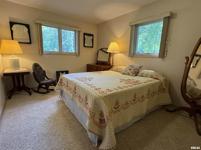 1308 Shawnee Trl, Carterville, IL 62918 - view of carpeted bedroom