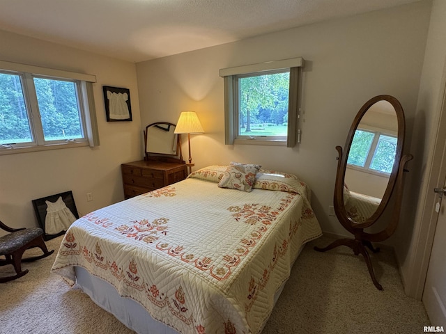 1308 Shawnee Trl, Carterville, IL 62918 - bedroom featuring carpet flooring