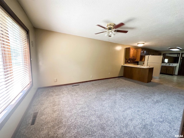 215 S Sunny Slope St, West Frankfort, IL 62896 - unfurnished living room with ceiling fan, light colored carpet, and a textured ceiling
