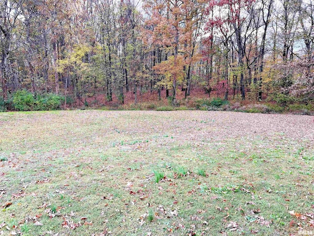 43 E Lakewood Dr, Metropolis, IL 62960 - view of grassy yard featuring a forest view