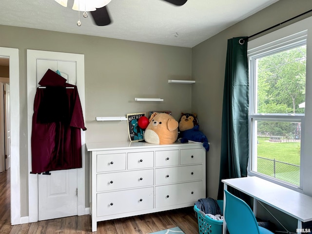 501 Cedar Creek Rd, Makanda, IL 62958 - mudroom featuring dark wood finished floors and a ceiling fan