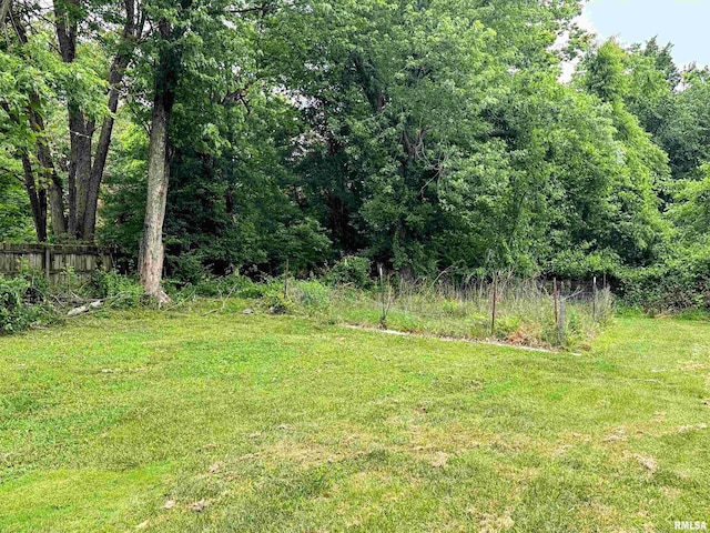 501 Cedar Creek Rd, Makanda, IL 62958 - view of yard featuring a view of trees