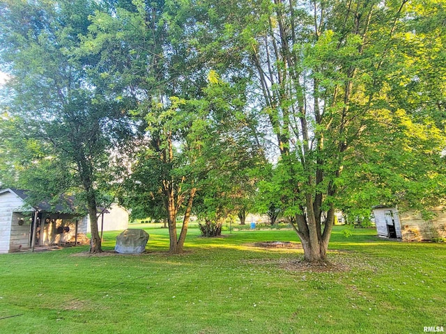 113 SW Mead St, Clay City, IL 62824 - view of green lawn featuring a shed