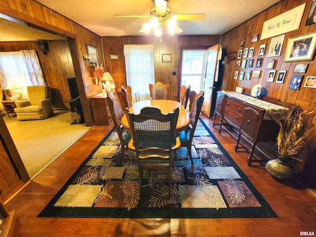 113 SW Mead St, Clay City, IL 62824 - dining area featuring wood walls and ceiling fan