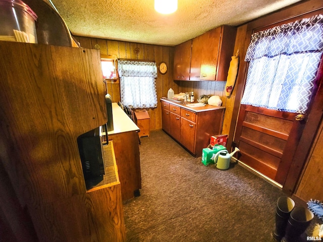 113 SW Mead St, Clay City, IL 62824 - kitchen with light carpet, a textured ceiling, wood walls, brown cabinets, and light countertops