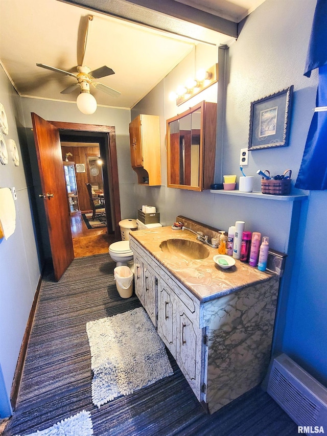 113 SW Mead St, Clay City, IL 62824 - bathroom with vanity and ceiling fan
