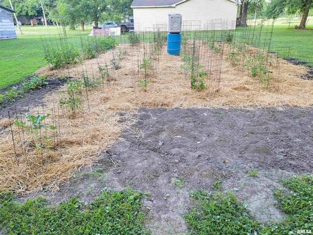 113 SW Mead St, Clay City, IL 62824 - view of yard with a vegetable garden
