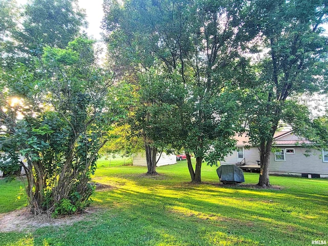 113 SW Mead St, Clay City, IL 62824 - view of green lawn