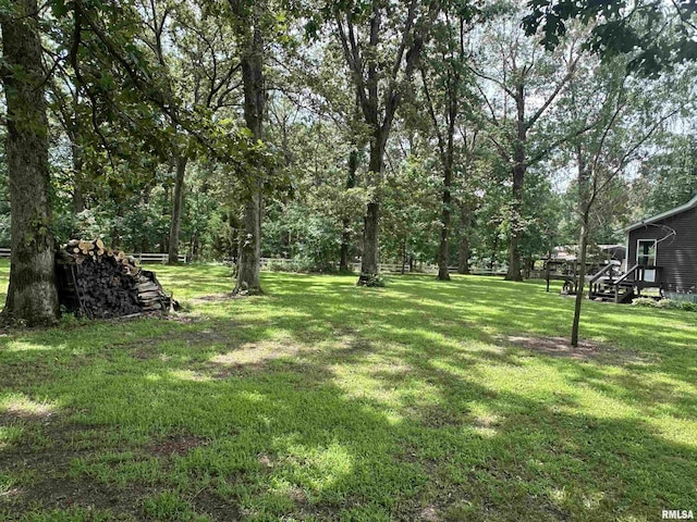 11382 Petroff Rd, Benton, IL 62812 - view of green lawn