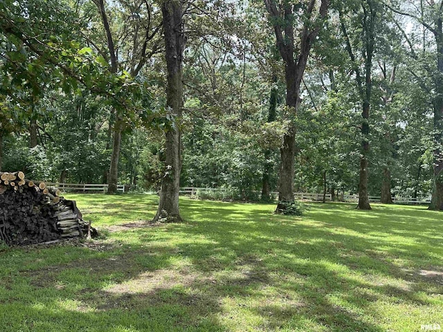 11382 Petroff Rd, Benton, IL 62812 - view of yard