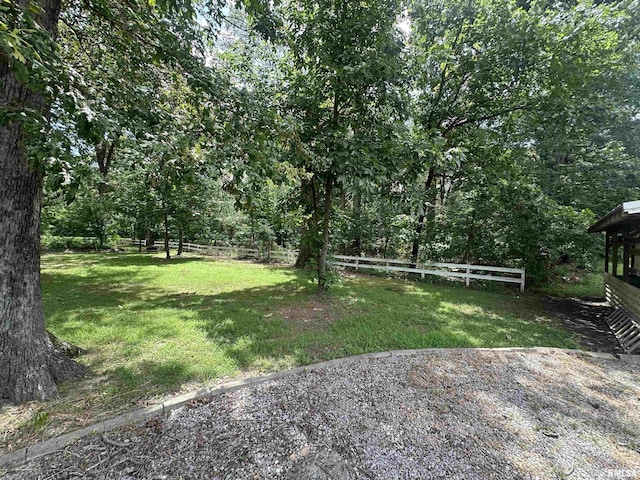 11382 Petroff Rd, Benton, IL 62812 - view of yard