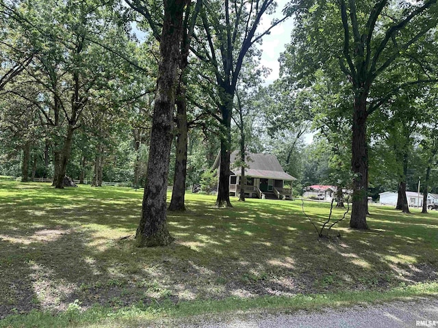 11382 Petroff Rd, Benton, IL 62812 - view of grassy yard