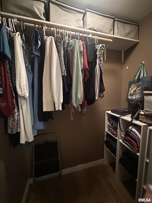 11382 Petroff Rd, Benton, IL 62812 - walk in closet featuring wood finished floors