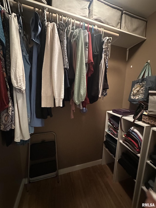 11382 Petroff Rd, Benton, IL 62812 - spacious closet featuring wood finished floors