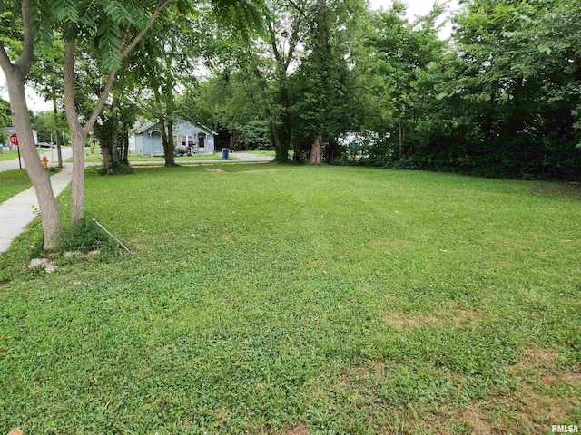 1809 Cherry St, Mount Vernon, IL 62864 - view of green lawn