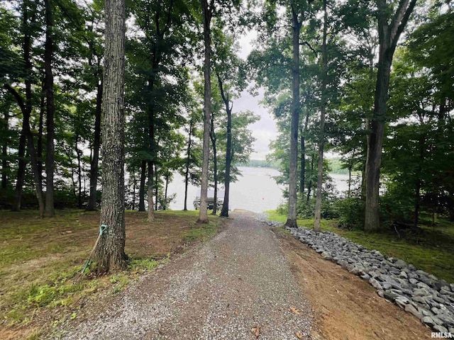 65 Stony Pt, Goreville, IL 62939 - view of road with a water view