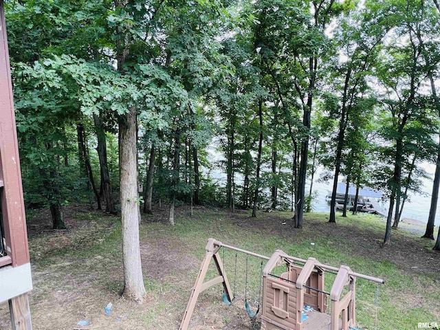 65 Stony Pt, Goreville, IL 62939 - view of yard