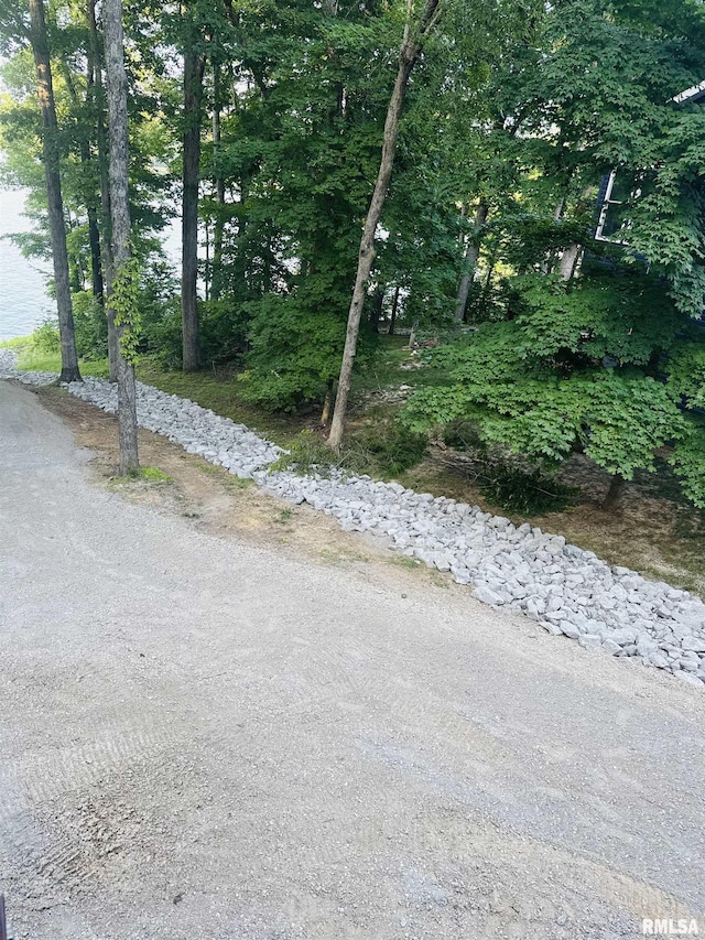 65 Stony Pt, Goreville, IL 62939 - view of road