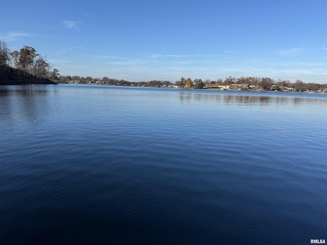65 Stony Pt, Goreville, IL 62939 - water view