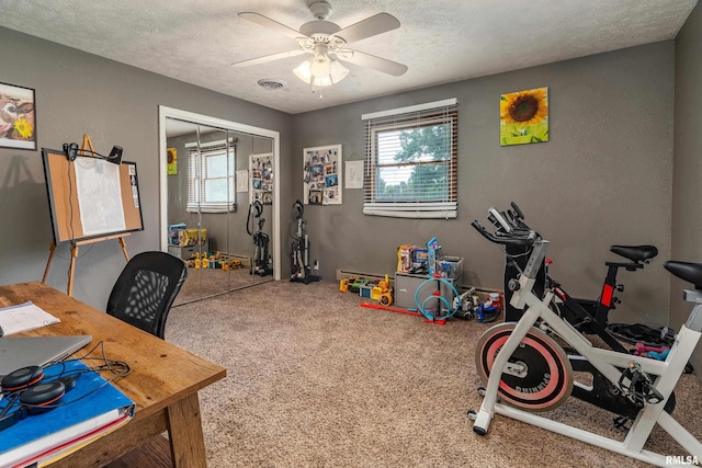13399 S County Line Rd, West Frankfort, IL 62896 - rec room with carpet, plenty of natural light, a textured ceiling, a ceiling fan, and a desk